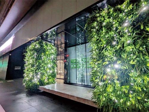 画像：[2]昨年のライトアップの様子