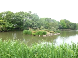 じゅん菜池緑地