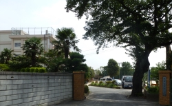 国府台小学校校門