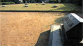 下総国分尼寺跡公園の画像