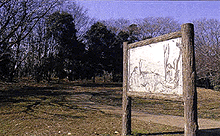 堀之内貝塚公園の画像