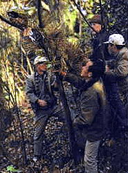 国府台辻切りの画像