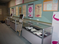 文学プラザ企画展「井上ひさし＜東北への眼差し＞」展示風景の画像5