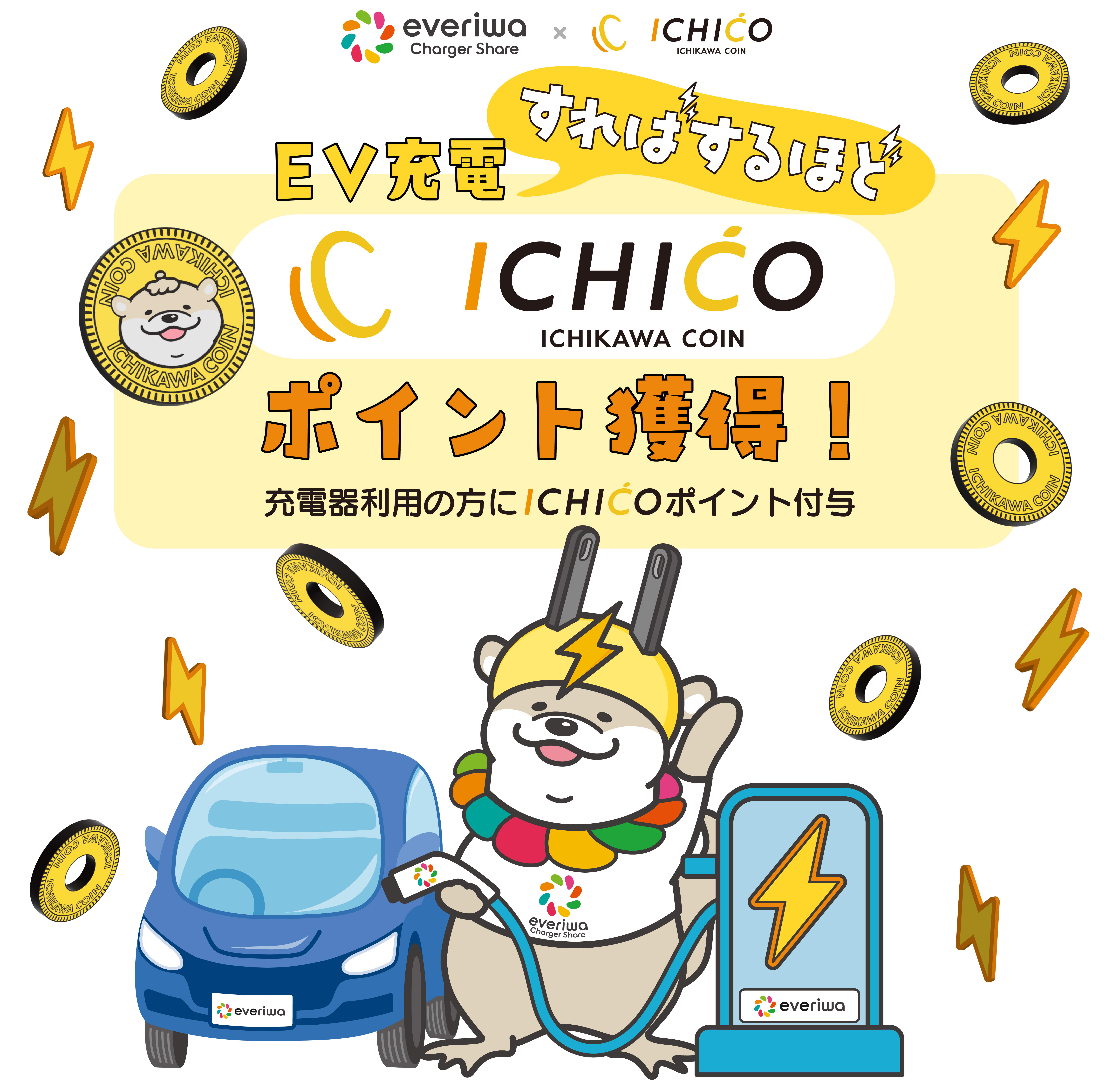 キャンペーン告知用