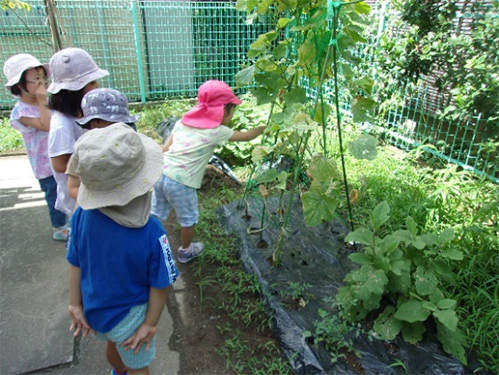 園の特色の画像1