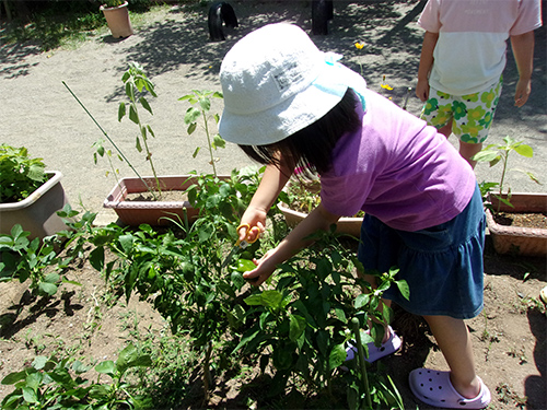 園の特色の画像3