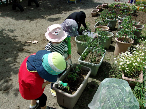 園の特色の画像4