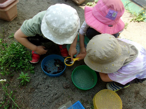 園の特色の画像5