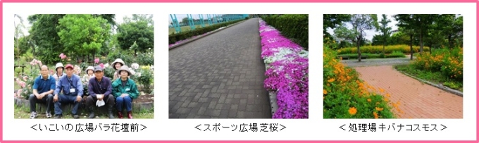 写真:行徳芝桜の会の活動の様子