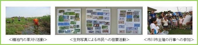 写真:ぼっけ生きもの倶楽部の活動の様子