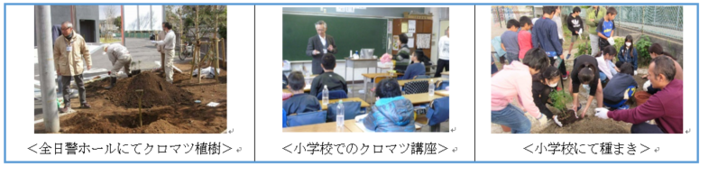 写真:市川クロマツ会活動写真