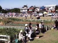 開催時の様子の画像2