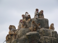 3密をまもりましょうの画像1