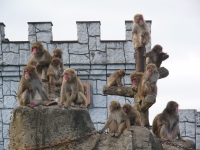 3密をまもりましょうの画像2