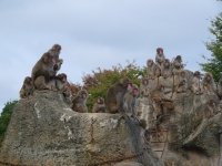 3密をまもりましょうの画像3