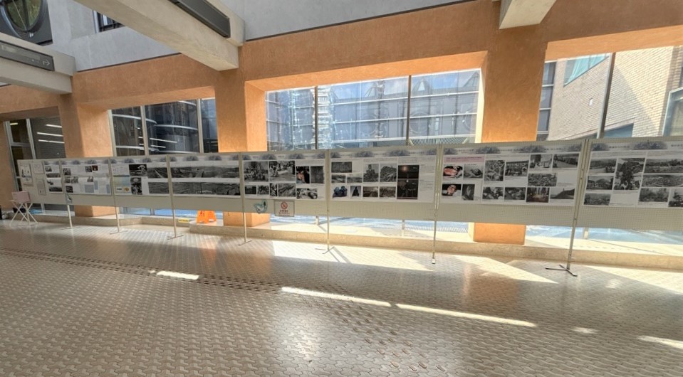 パネル展示の様子の写真