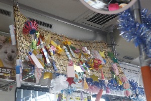 飾り付けの様子（築葉根幼稚園）写真5