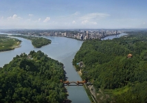 河岸には深緑が広がるの画像