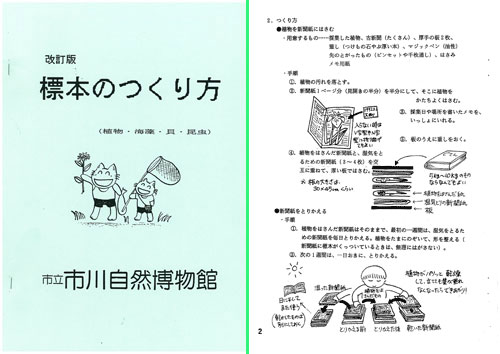 自然博物館の標本のつくり方テキストブックの画像