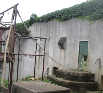 オランウータンの放飼場です。の画像