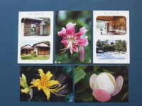 ポストカードの画像