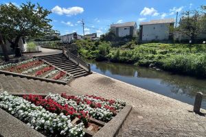 写真:大柏川親水テラス