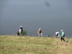 江戸川クリーン大作戦の画像