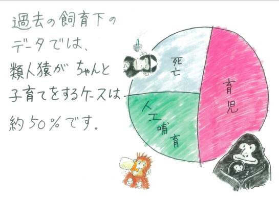 オランウータンのイラスト1