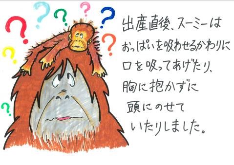 オランウータンのイラスト2