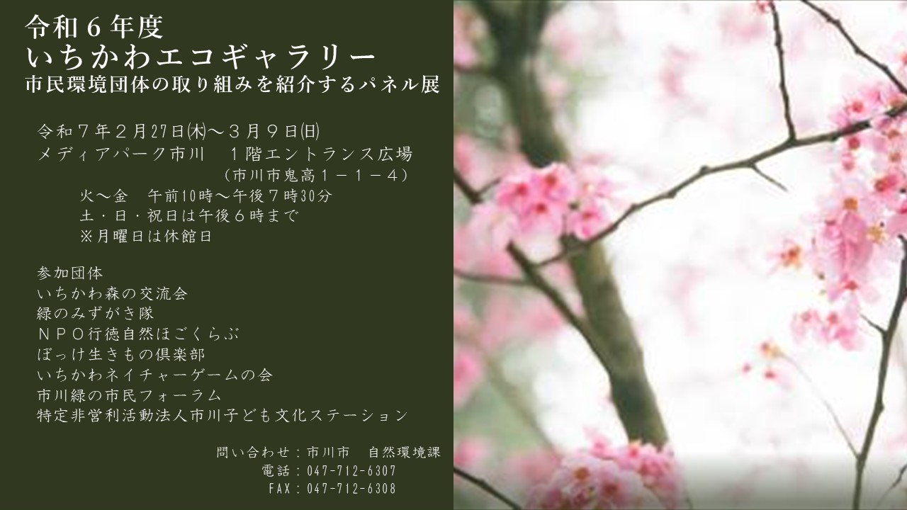 令和6年度いちかわエコギャラリーポスターの画像