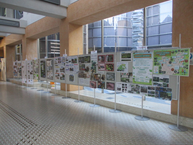 写真：いちかわエコギャラリー（こども館側）