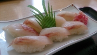 市川の海の幸 スズキのにぎりの画像