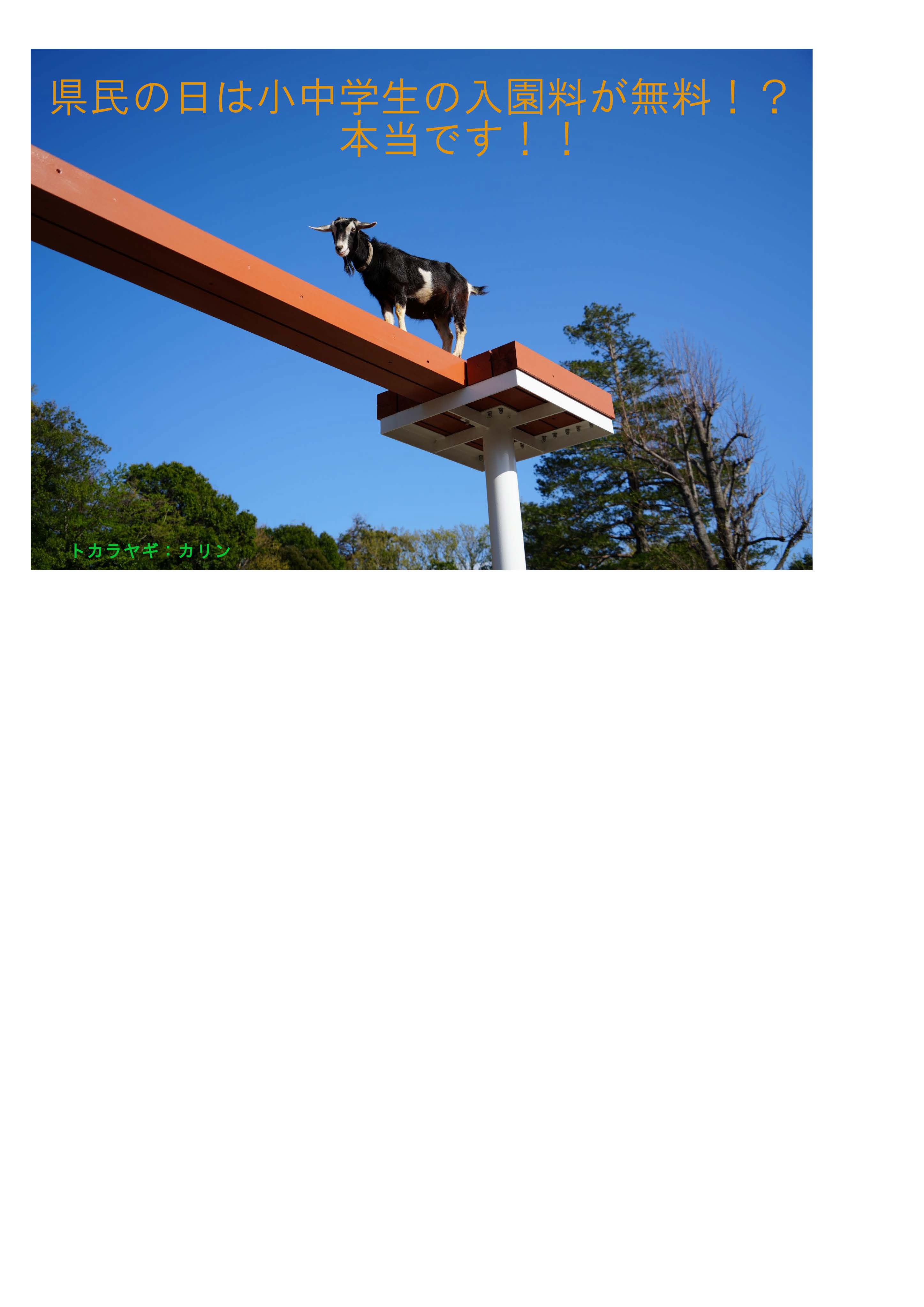 写真：ヤギの空中散歩