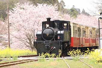 千葉県市原市_写真3