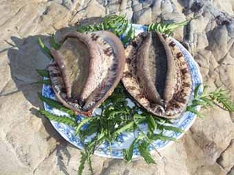 千葉県南房総市_写真2