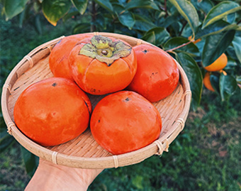 茨城県石岡市_写真2