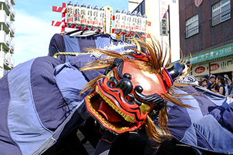 茨城県石岡市_写真3