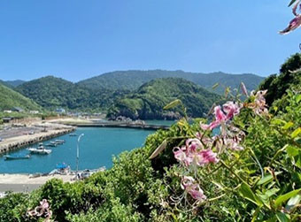 鹿児島県薩摩川内市_写真2