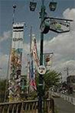 こいのぼり祭りの様子