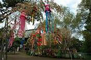 七夕まつりの画像