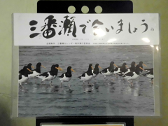 絵画ラック展示 三番瀬で会いましょう 絵画ラック展示 三番瀬で会いましょう