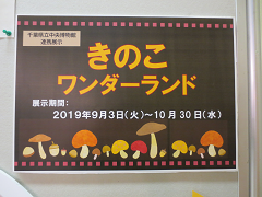 絵画ラック展示 きのこワンダーランド看板 絵画ラック展示 きのこワンダーランド看板