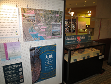 考古博物館サテライト展示 小塚山遺跡と鬼高遺跡 考古博物館サテライト展示 小塚山遺跡と鬼高遺跡