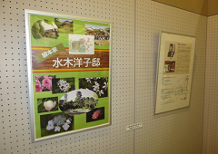 脚本家 水木洋子と「水木洋子市民サポーターの会」パネル展のようす 脚本家 水木洋子と「水木洋子市民サポーターの会」パネル展のようす