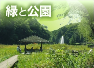 緑と公園の画像