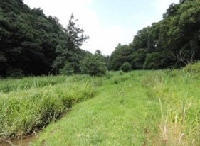 大町公園自然観察園内の画像