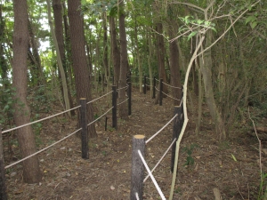 みどりの国観察路内の画像