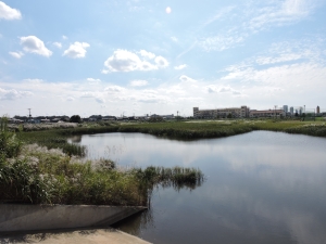 国分川調節池緑地の画像