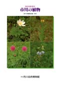 市川の植物表紙