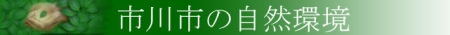 市川市の自然環境の画像